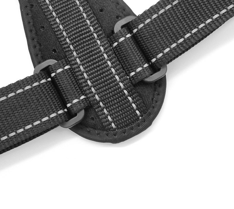 Fix Your Posture in Days – AlignRelief™ Back & Shoulder Corrector